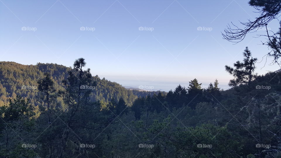 The beginnings of the mountains in Norther California.