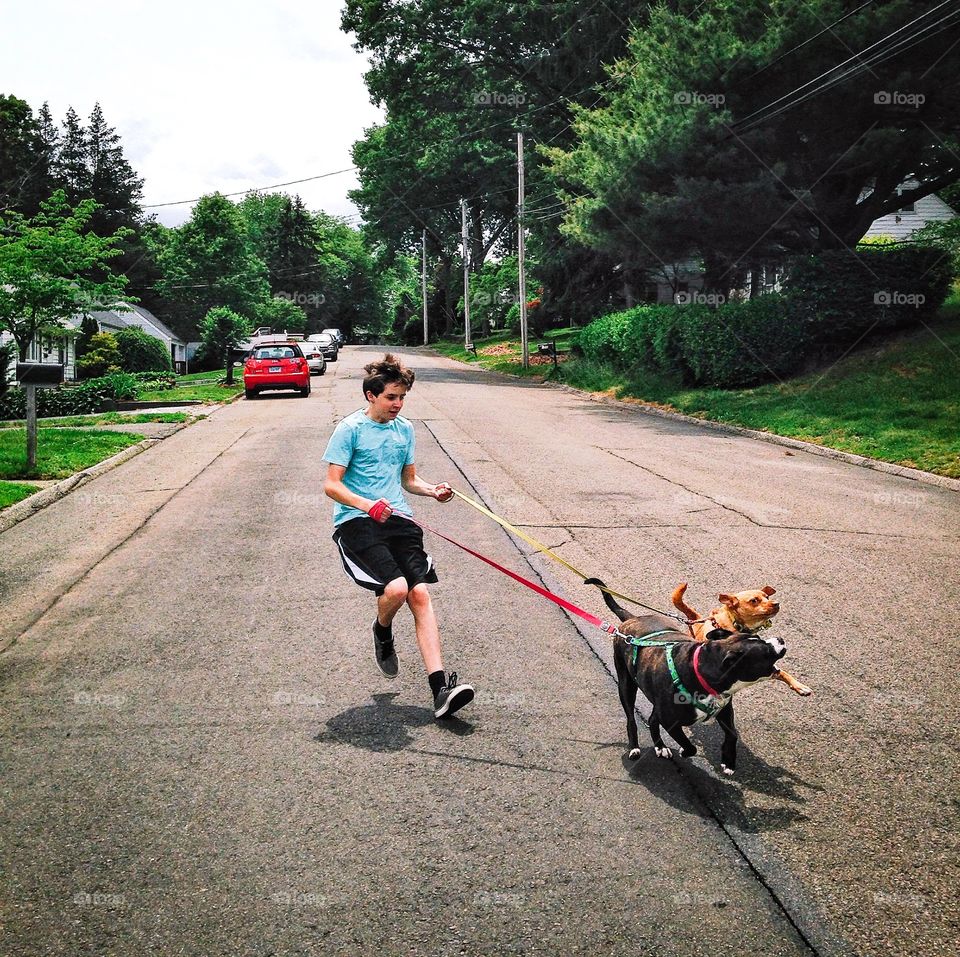 Whose walking who..... My brother "walking" my dogs