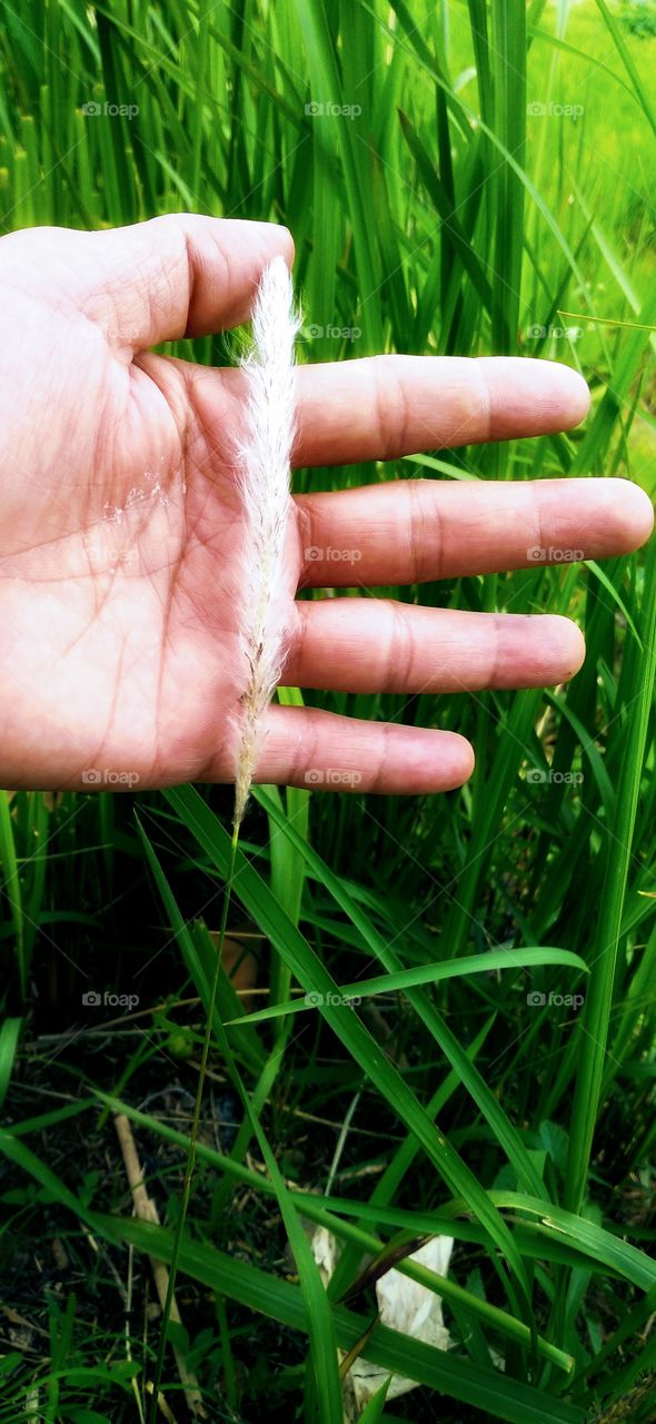 Don't you know how the wind seduces? He only whispered, then thousands of weeds fell asleep. As befits you it's just that simple, but I'm always stunned