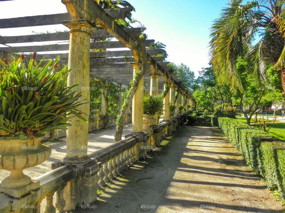 Jardim da Macaca