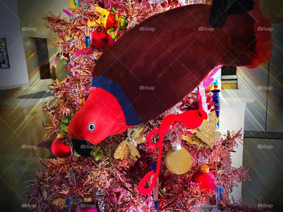 Christmas tree live red Parrot ornament.