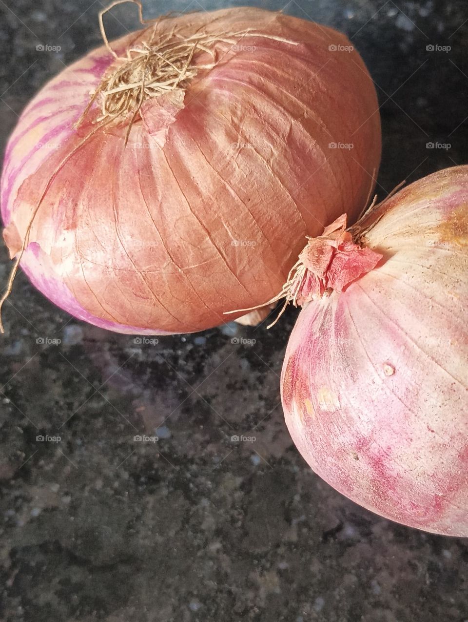Onion