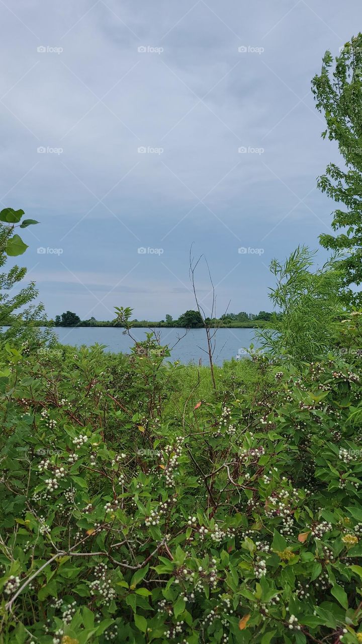 As Close to Nature One can get, in a City