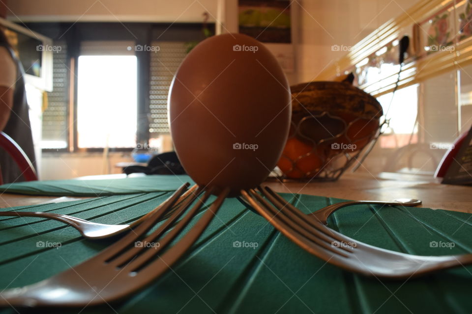 The eggs and the garf