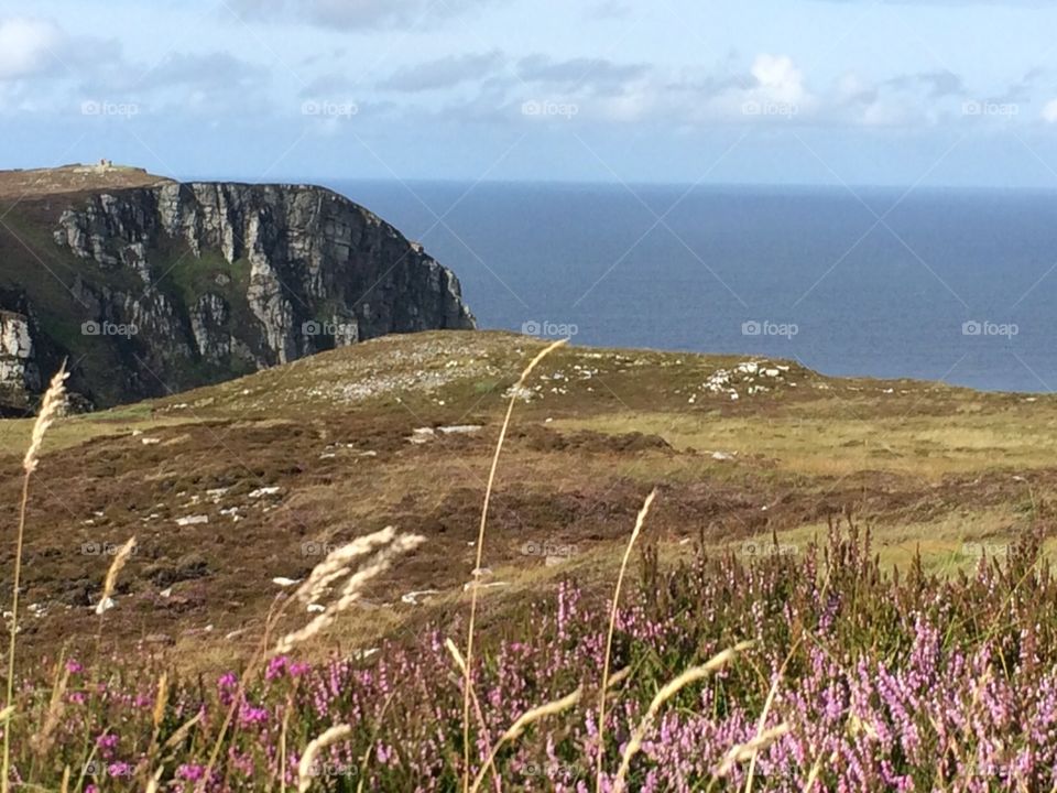 Hornhead with heather foreground in County Donegal, Ireland 