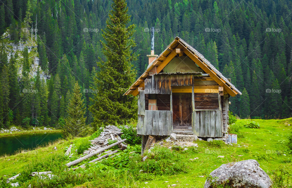 Abandoned wooden house in forest