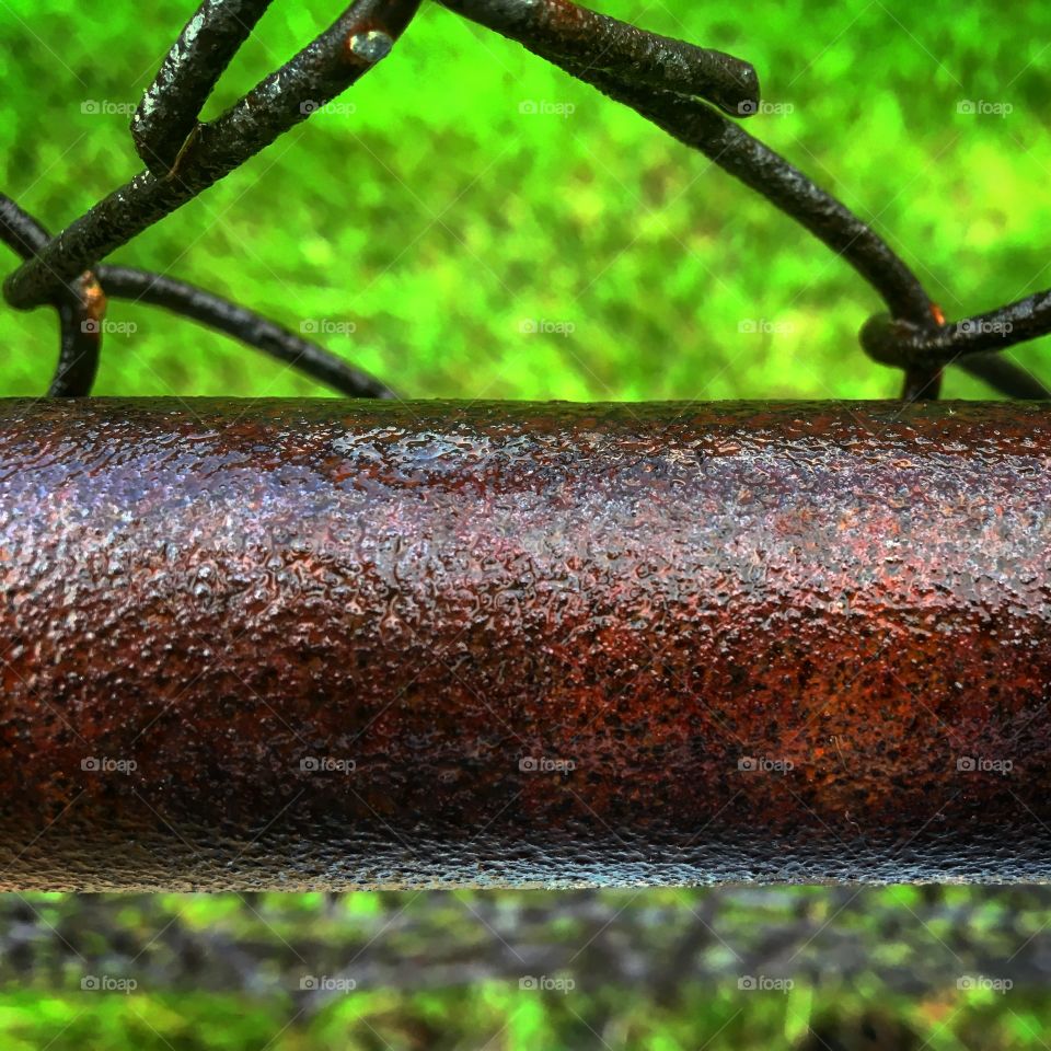 Rusty fence