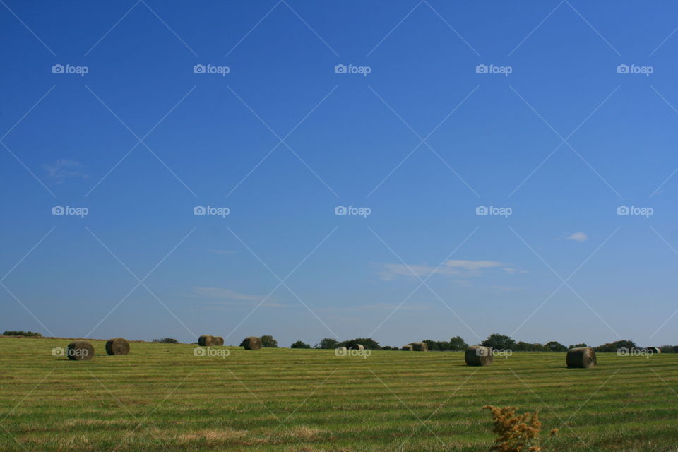 Country Landscape 