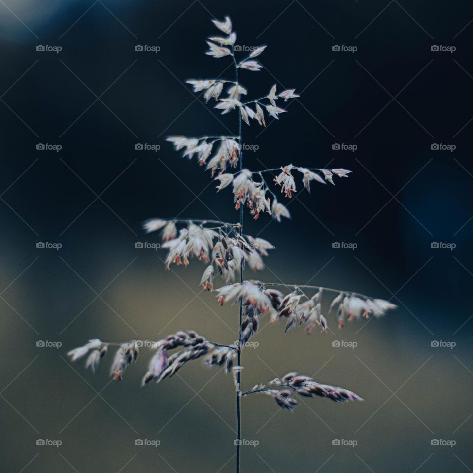 The beauty of the simplicity