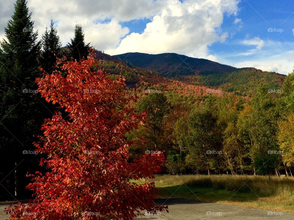 Adirondacks, NY