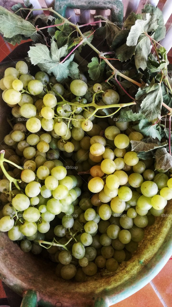grapes