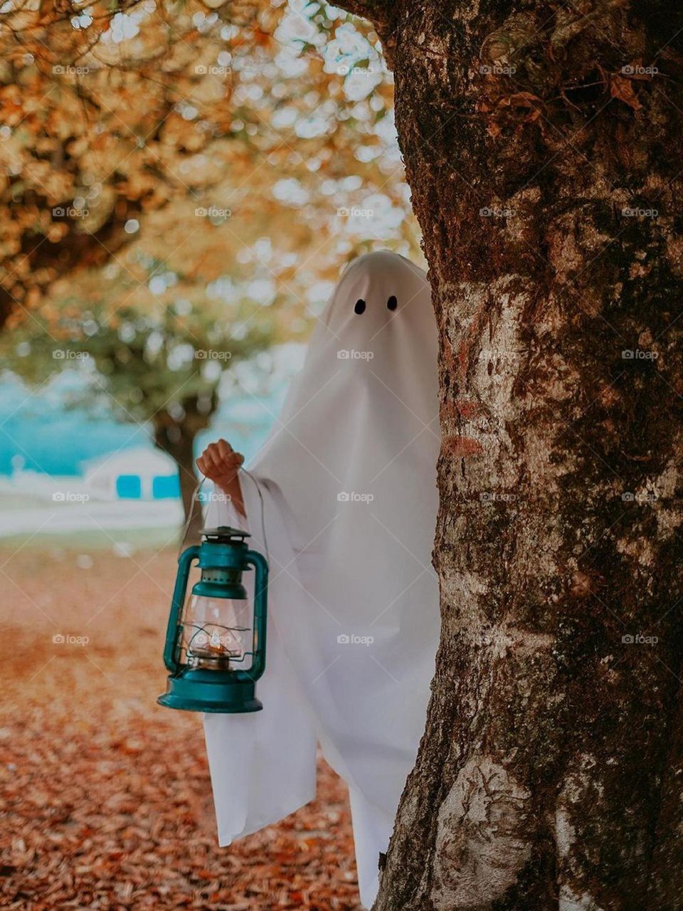 A silly ghost with a lantern behind a tree on Halloween!