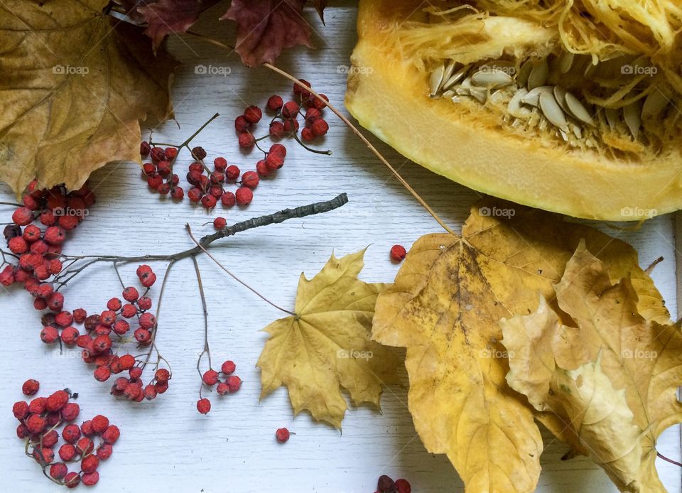 pumpkin with seeds