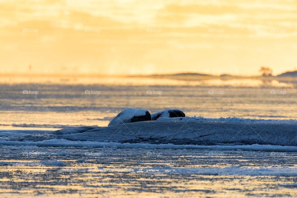 Rocky island on golden light by the Baltic Sea in Helsinki, Finland at beginning of January 2017 on cold winter evening.