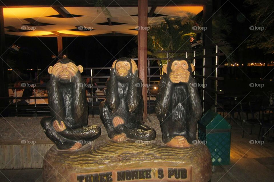 Three Monkeys