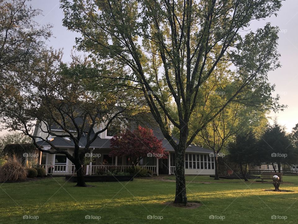 East Texas farmhouse