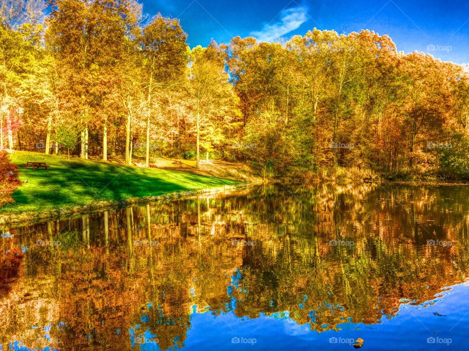 Reflection of autumn trees in lake