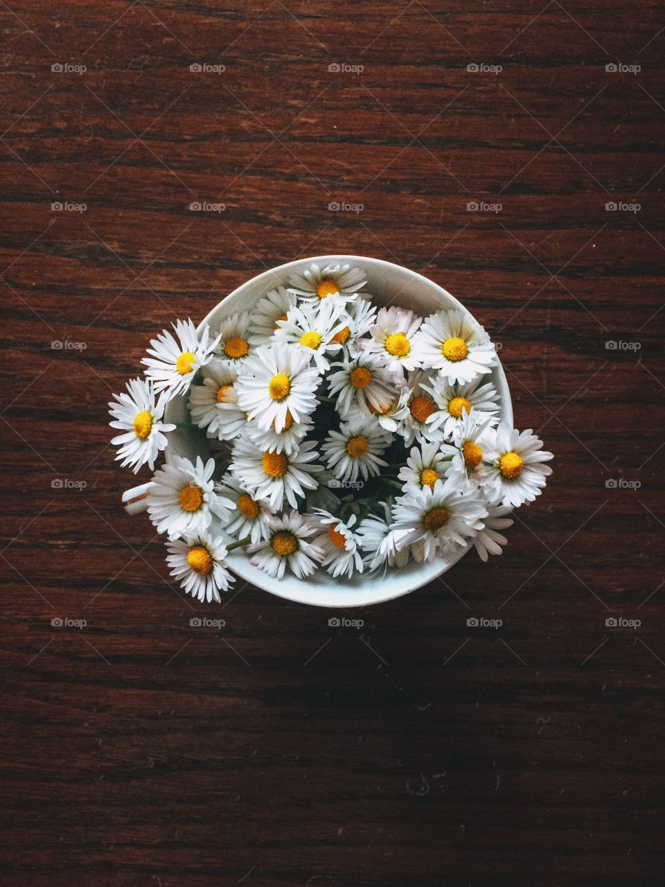 Daisies