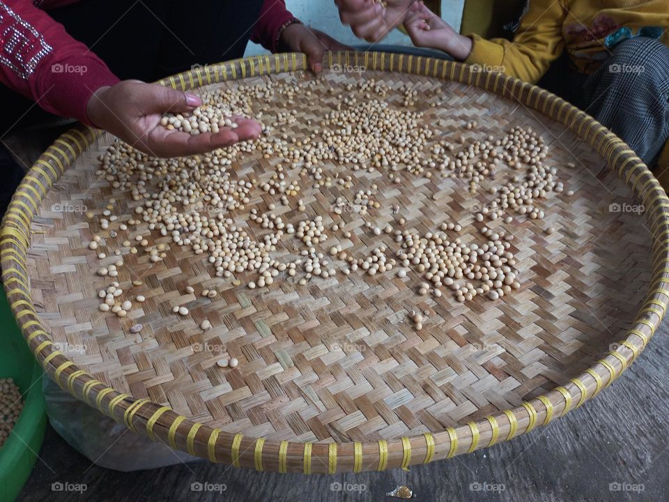 Soybean is a type of legume that is the basic ingredient of many foods from East Asia such as milk, soy sauce, tofu, and tempeh.