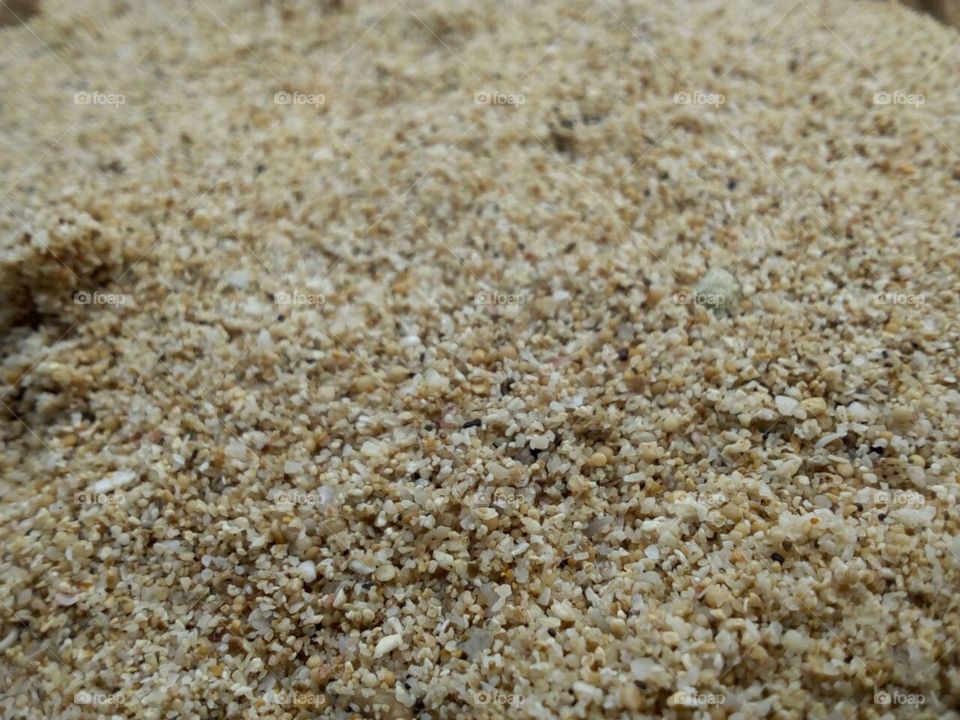 sand in beach