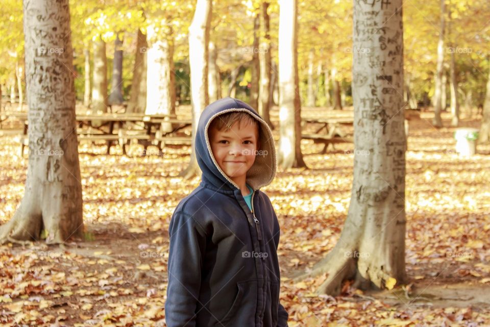 Boy with hoodie in the woods in autumnal scene