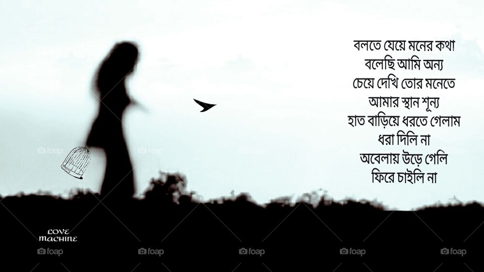 Birds fly, do not return to the nest.