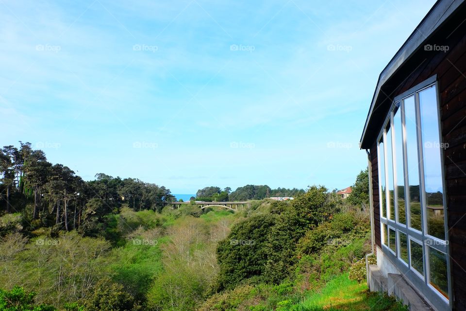 Windows, view and a bridge