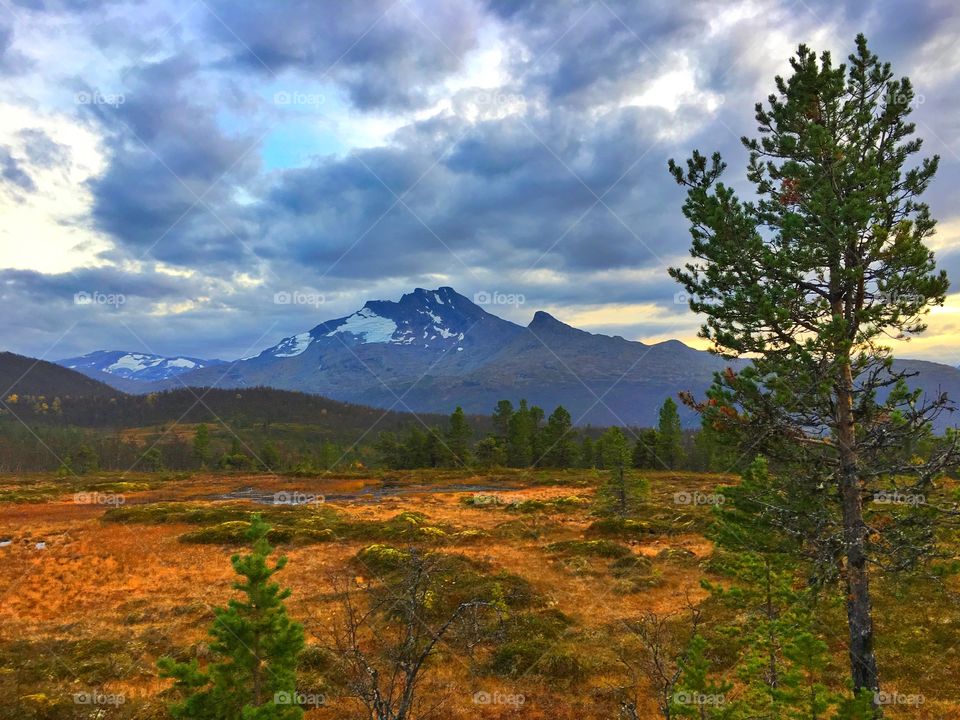 The mountain named "The Queen"
In Narvik. North Norway b