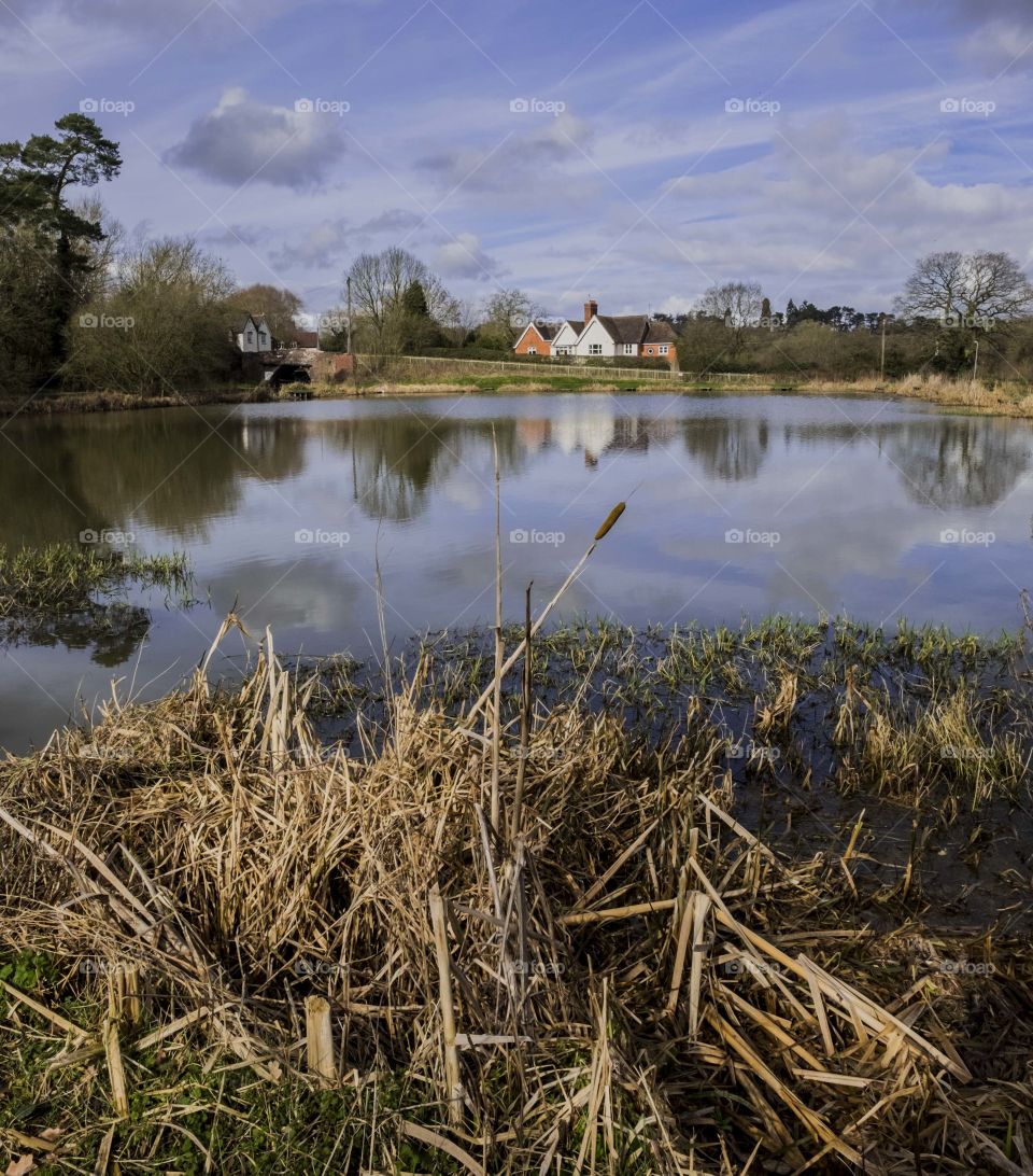 Lake. Houses