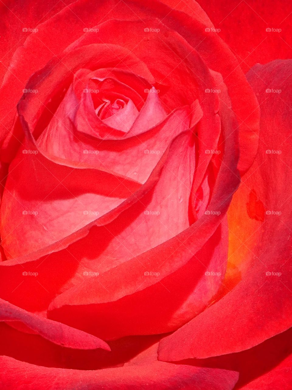 The best of photography