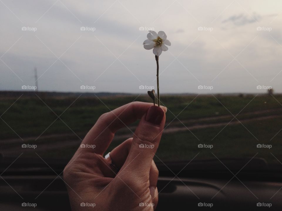 Landscape, Vehicle, People, Car, Sky