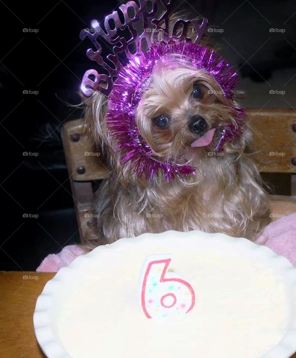 Tessy's Birthday