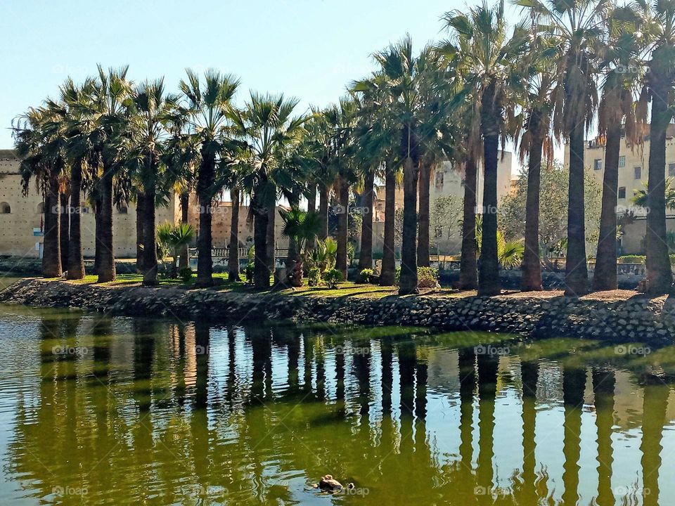 Population between the nature