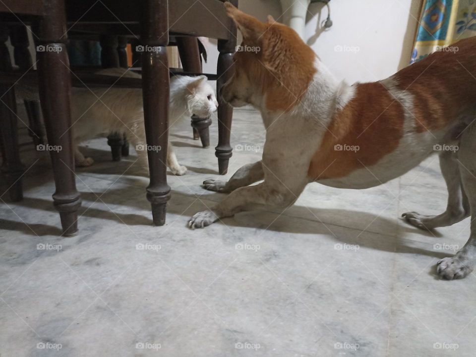 sometimes you don't know how the old good days were until they were gone so let's enjoy the moment.