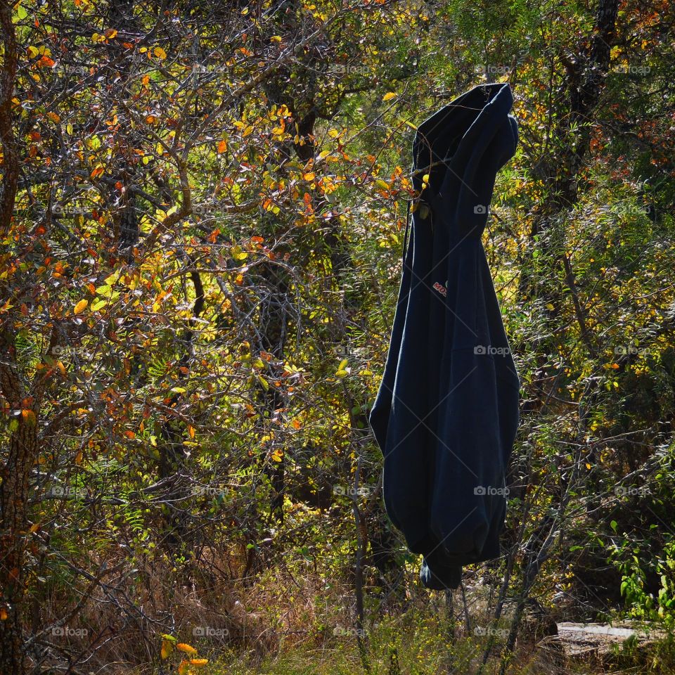Blair Witch project. This is a picture of a hoody that was hanging from a tree.