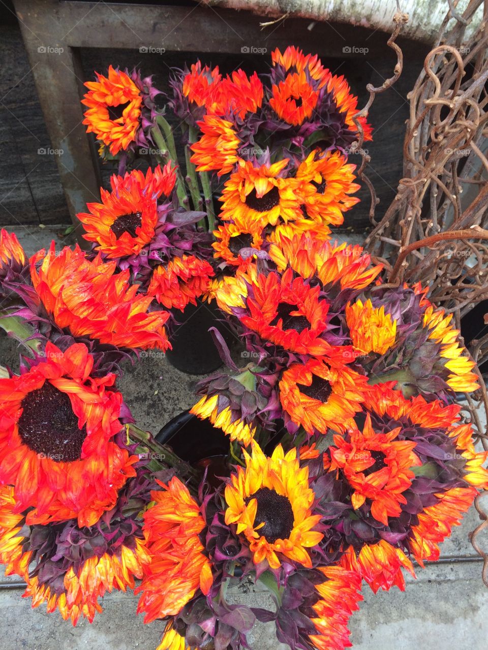 Vivid Sunflowers. Intense orange sunflowers for sale in the flower district, Chelsea, New York City