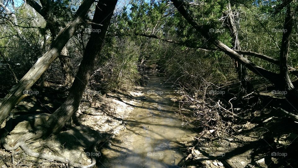 Cedar Ridge Preserve, Dallas, TX