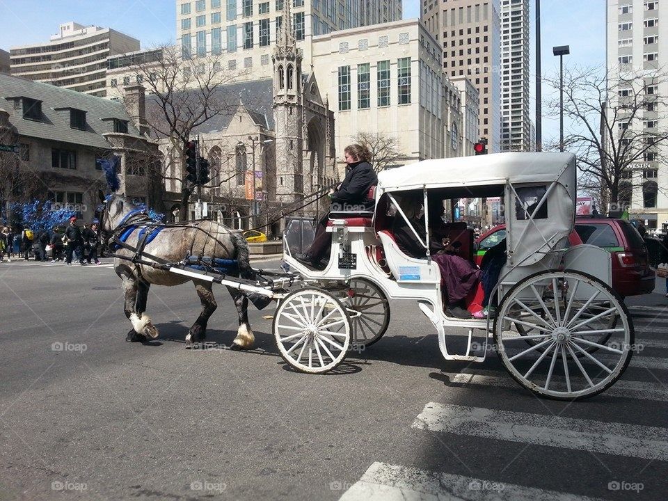 Carriage Ride through the City