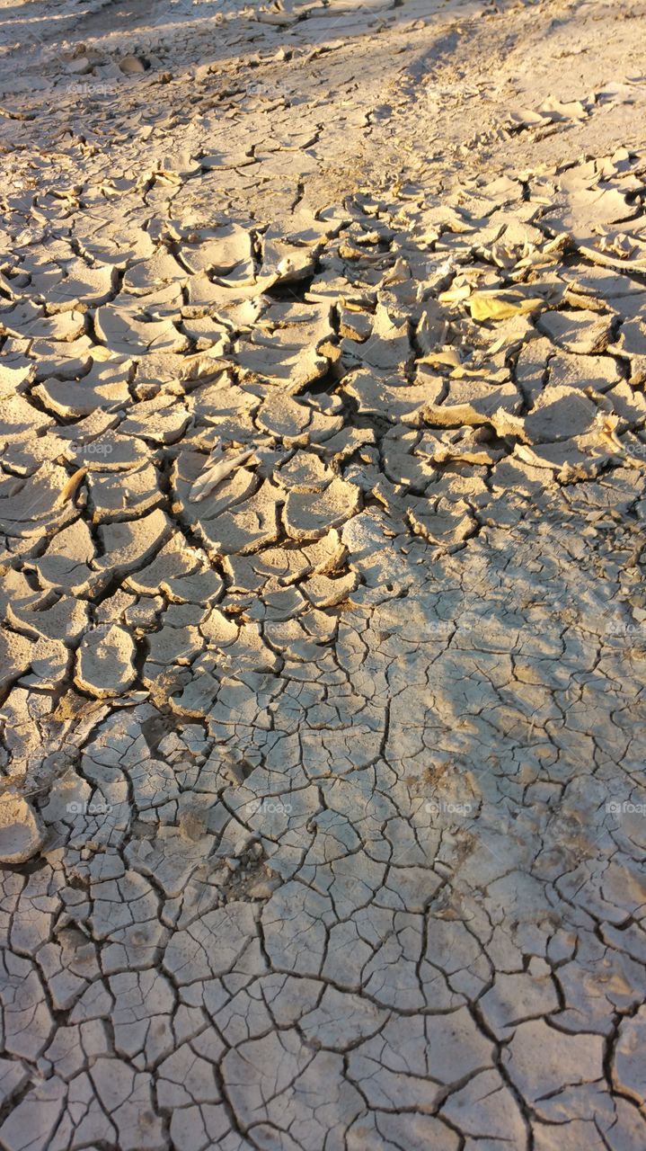 dry. the water dried up