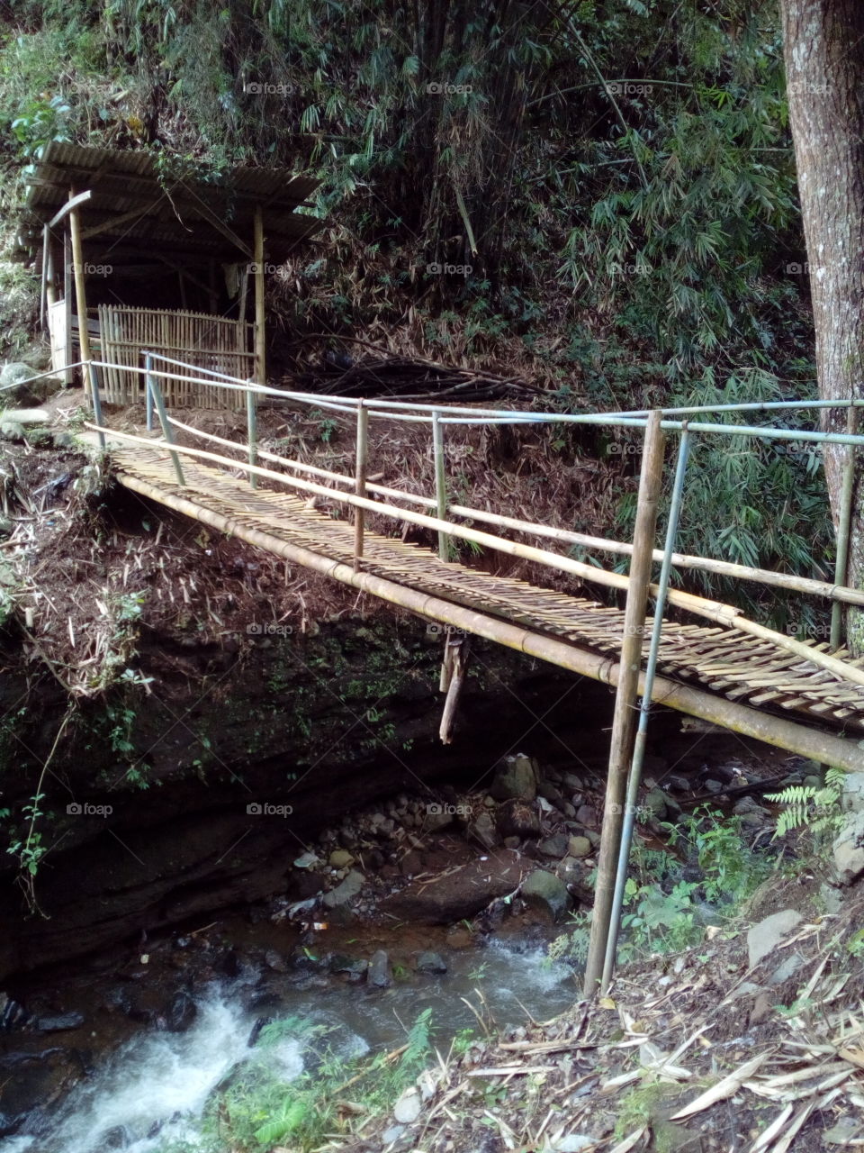 Bridge over the river