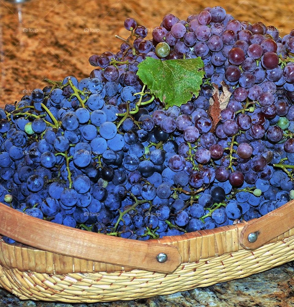 Concord grapes