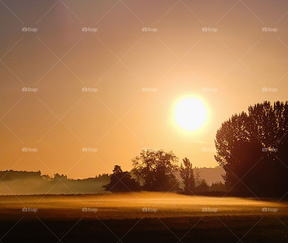 Foggy Rural Sunrise /Urban vs Rural