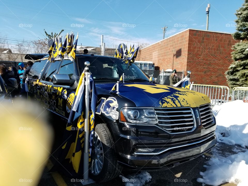 Michigan Football fan