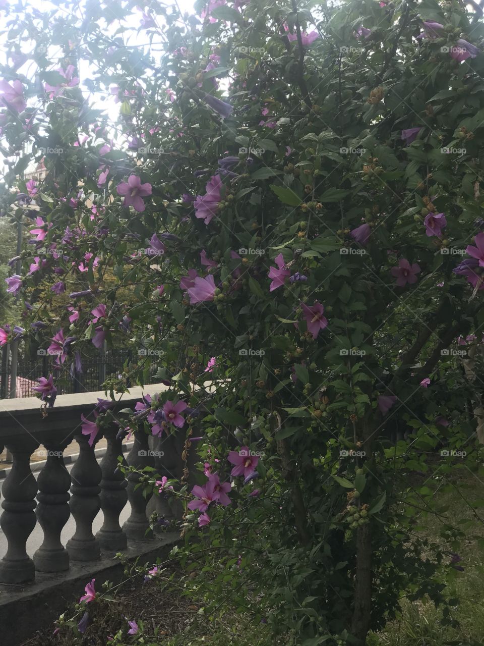 Санаторий Орджоникидзе 