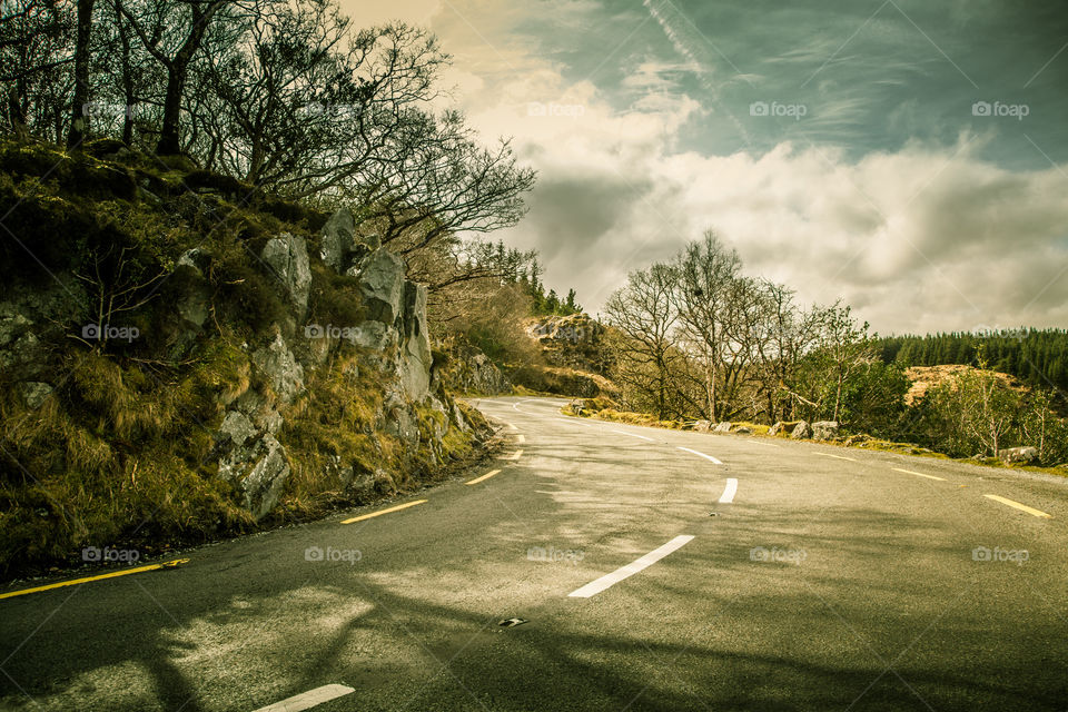 Road, Landscape, Tree, No Person, Guidance