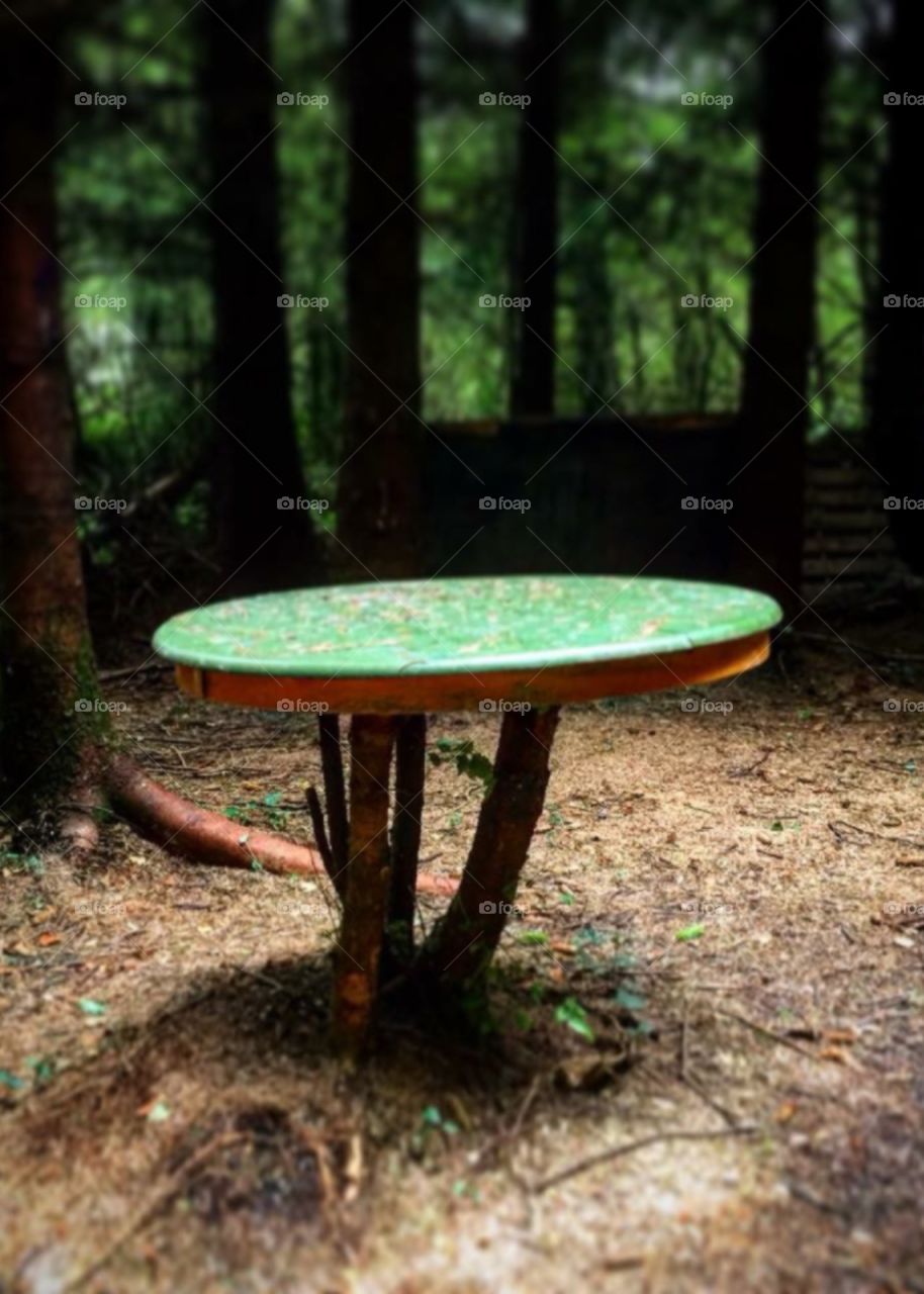 Woodland table