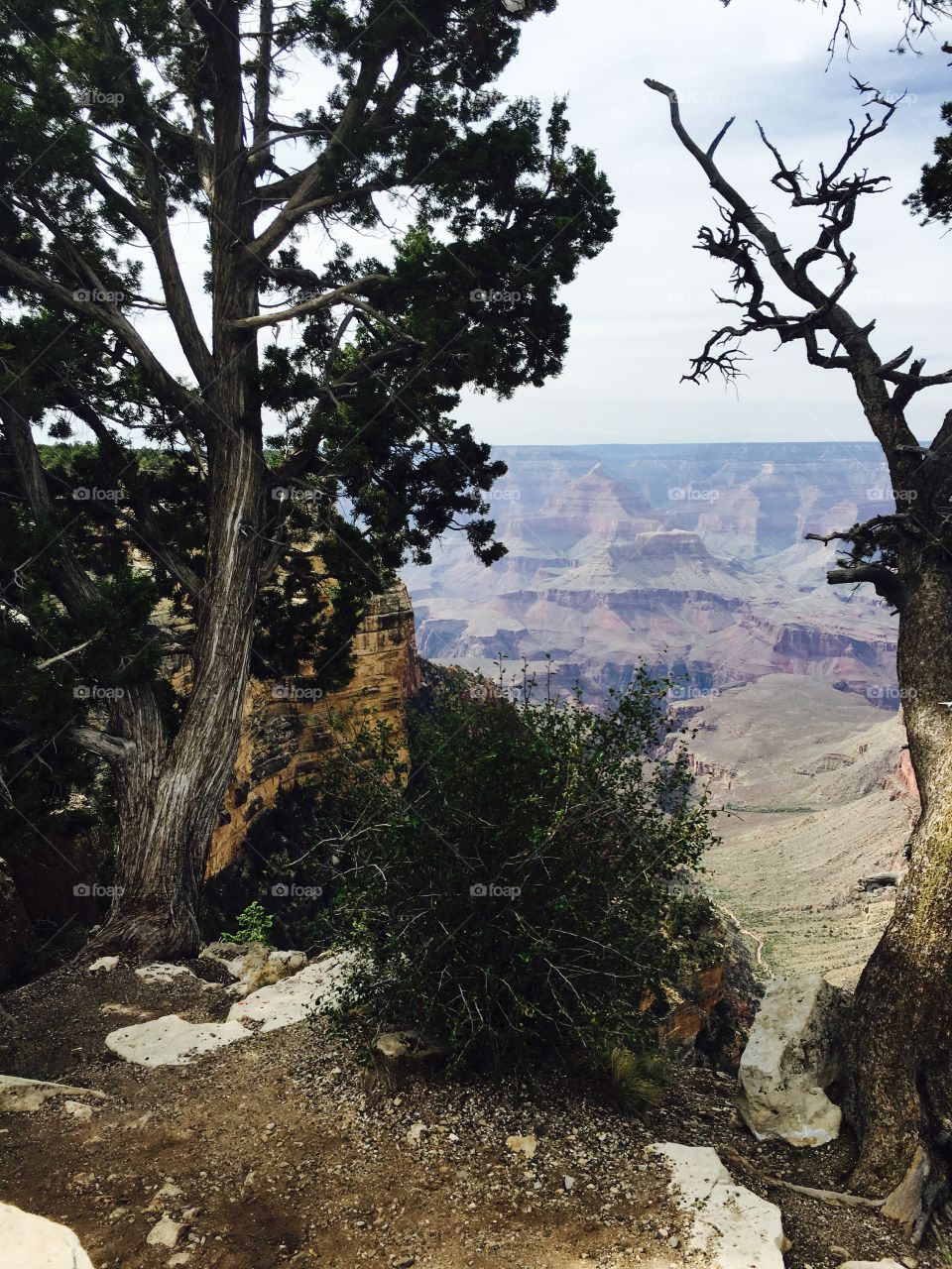 Grand Canyon 