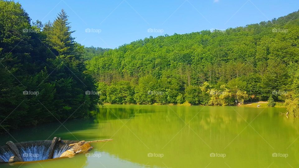 Vida Lake, green lake with funnel, Romania