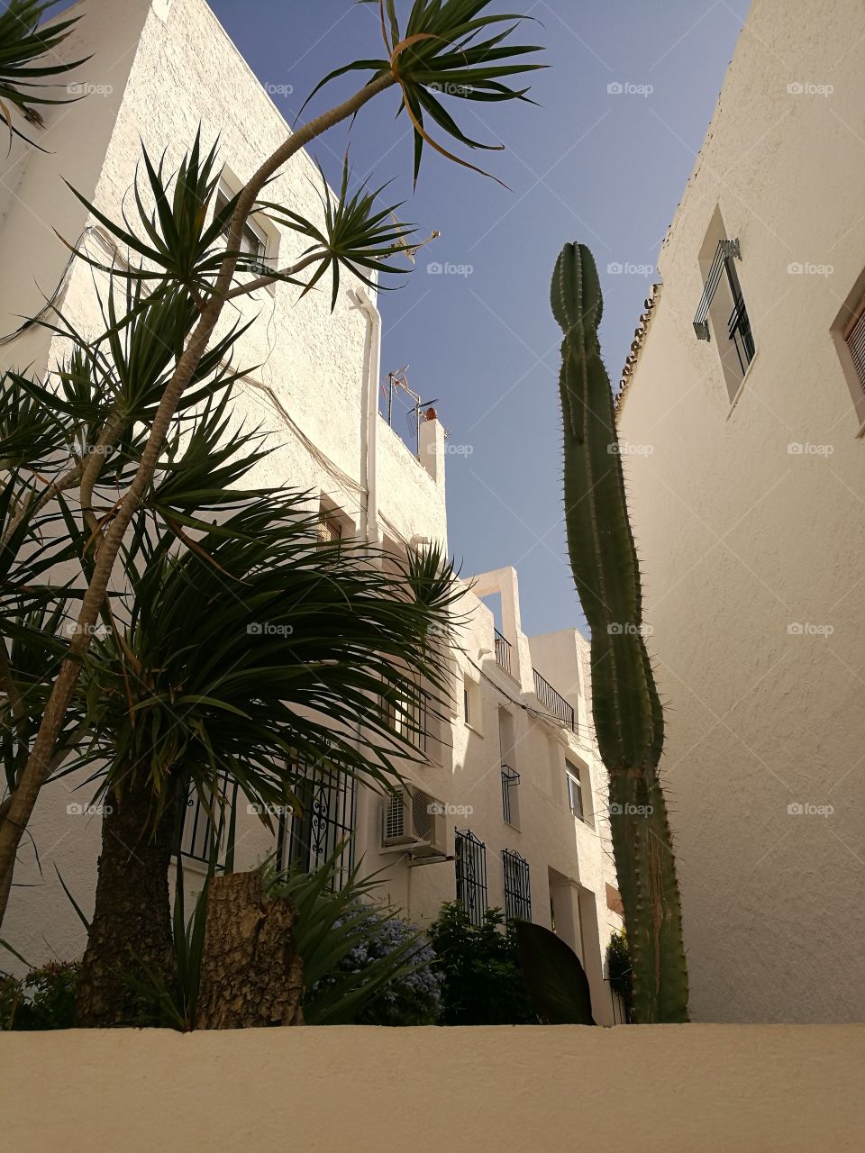 No Person, Architecture, Travel, Hotel, Tree