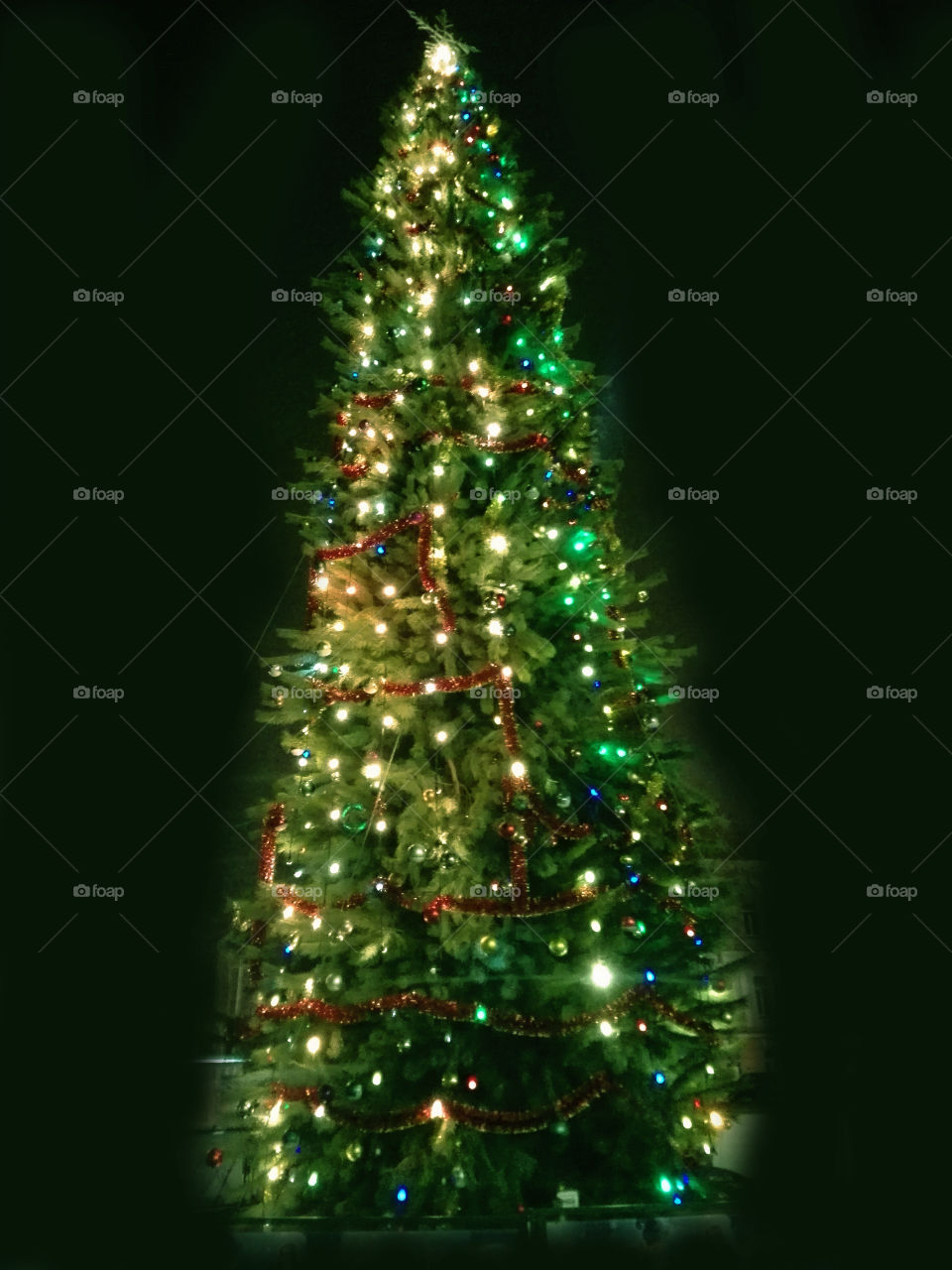 New Year,  christmas tree